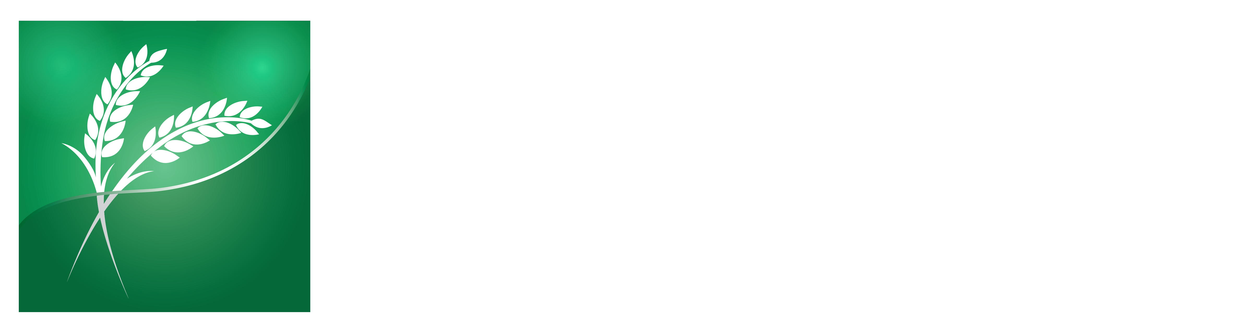 Khmer Foods Group Cambodian Rice exporter logo